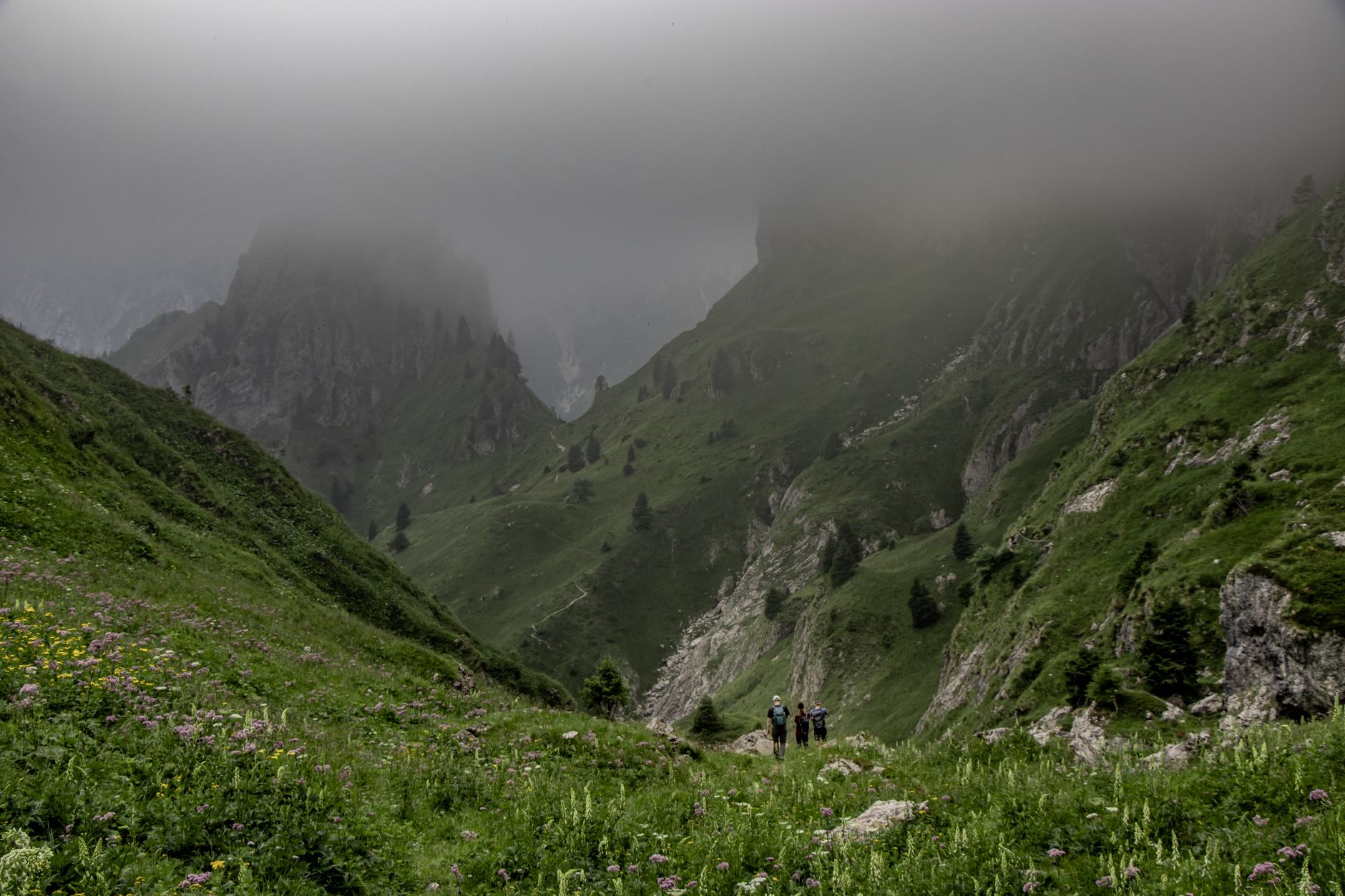 Lush alpine meadow framed by dramatic Dolomite peaks