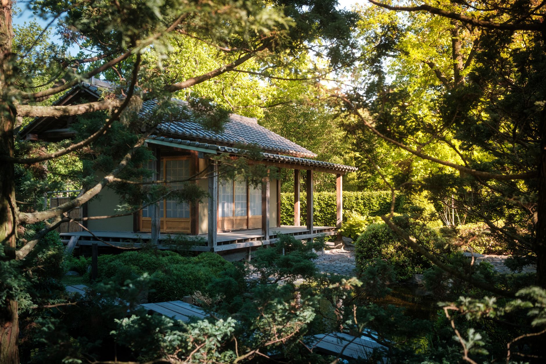 Traditional Japanese wooden ryokan garden veranda